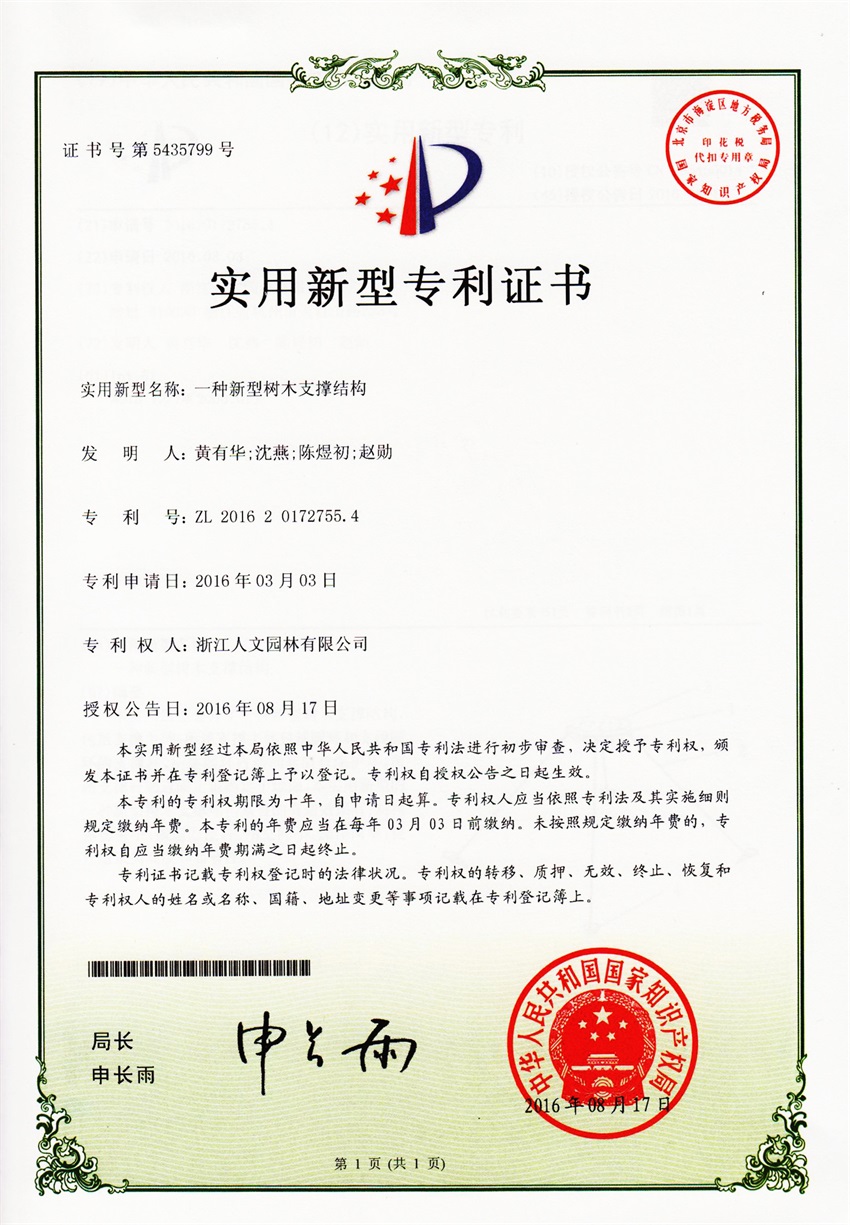 一种新型树木支撑结构