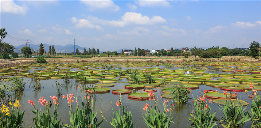 文浦花园